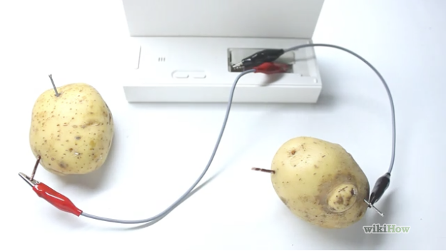 Make Your Own Potato Clock - At Home Science Project for Kids step 